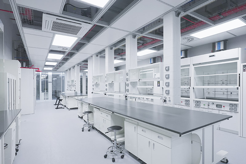 桃山实验室革新：安全与科技的现代融合